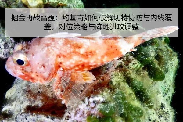 jue-jin-zai-zhan-lei-ting-yue-ji-qi-ru-he-po-jie-qie-te-xie-fang-yu-nei-xian-fu-gai-dui-wei-ce-lve-yu-zhen-di-jin-gong-2-851.jpg
