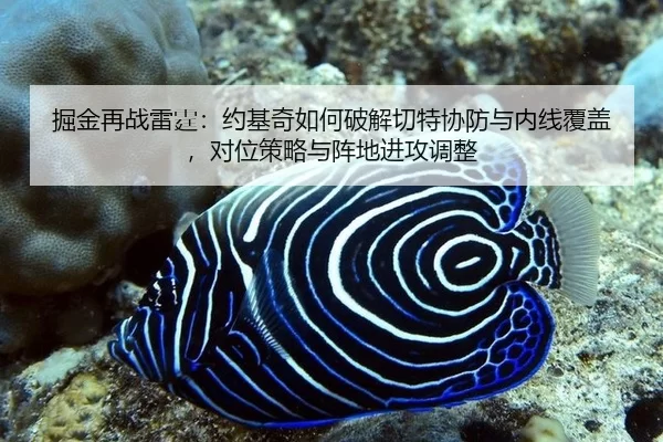 掘金再战雷霆：约基奇如何破解切特协防与内线覆盖，对位策略与阵地进攻调整