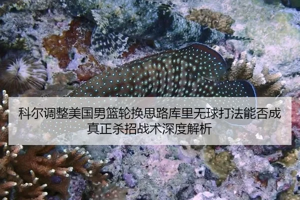 科尔调整美国男篮轮换思路库里无球打法能否成真正杀招战术深度解析